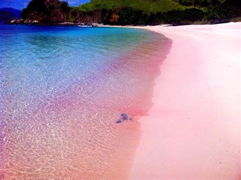 Travel The Most Magical Pink Sand Beaches In The World