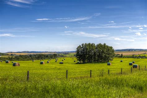 Scenic Farmland Stock Image Image Of Farm Alberta Agriculture 63662827