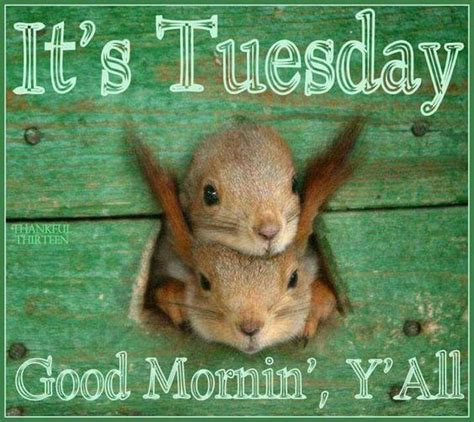 Its Tuesday Good Morning Yall Pictures Photos And Images For