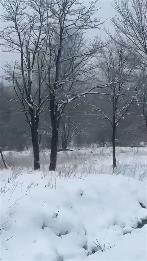 Record Spring Snowfall In West Virginia Video