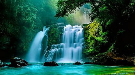 Nauyaca Waterfalls In The Rain Forests Puntarenas Province Costa Rica