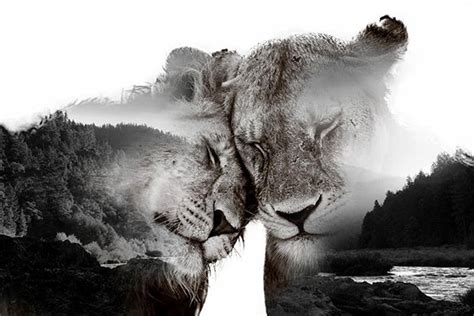 30 Most Amazing Double Exposure Photography By French