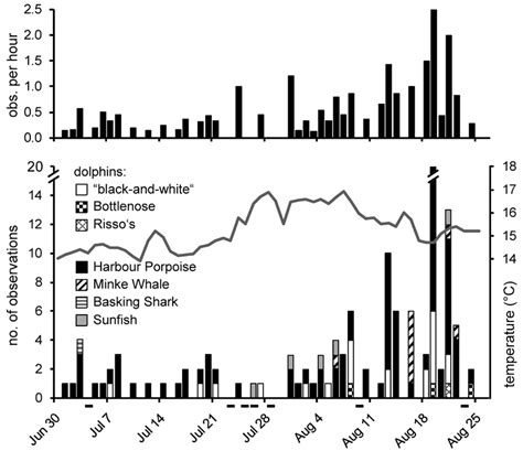 temporal distribution of recorded megafauna species and the hourly download scientific diagram