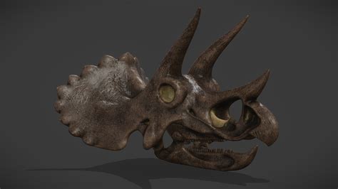Triceratops Horridus Skull Buy Royalty Free 3d Model By Kyan0s 3b8e2af Sketchfab Store