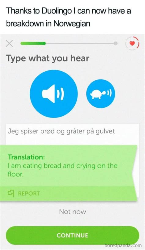 Its simple spanish or vanish, who will win?, will he have mercy? Duolingo Memes Make You Think Twice About Missing Your Spanish Test