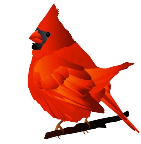 Northern Red Cardinal Bird Free Clipart Design Download Clipartix