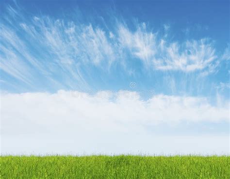 Blue Sky With Green Grass Stock Photo Image Of Background 36644800