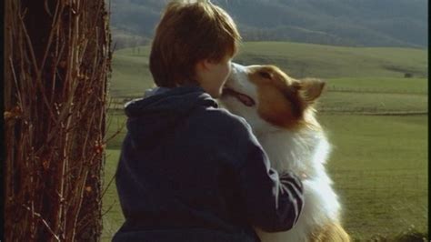 90s Films Images Lassie 1994 Hd Wallpaper And Background Photos 23523233
