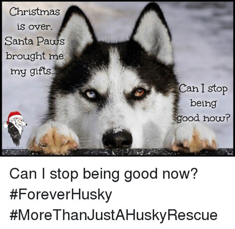 Christmas Is Over Santa Paws Brought Me My Ts Can I