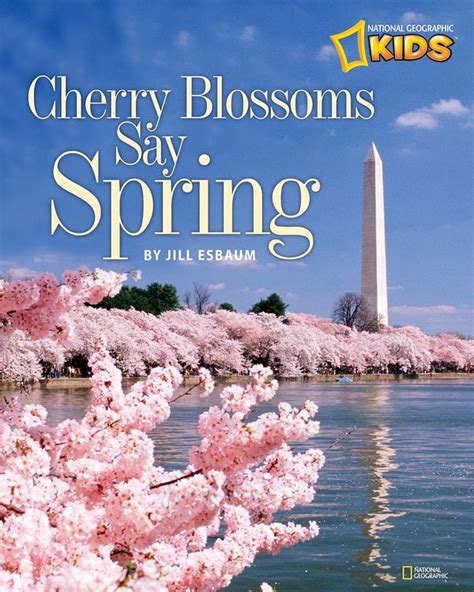 Cherry Blossoms Say Spring National Geographic Kids