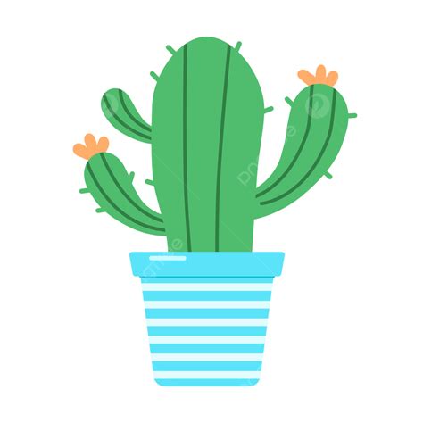 Cute And Beautiful Cactus Plant In Pot Cactus Pot Plant Png And
