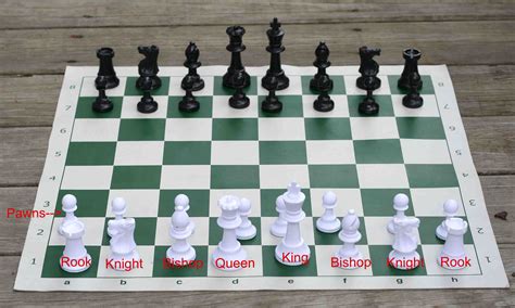 How To Set Up A Chess Board Properly Haiper