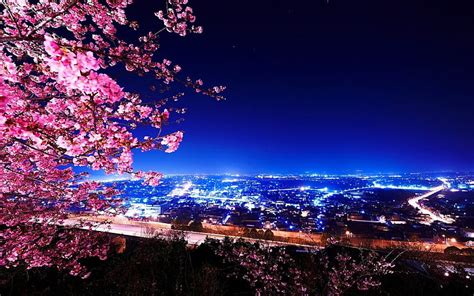 Hd Wallpaper Cherry Blossom Night The City Lights Spring Japan