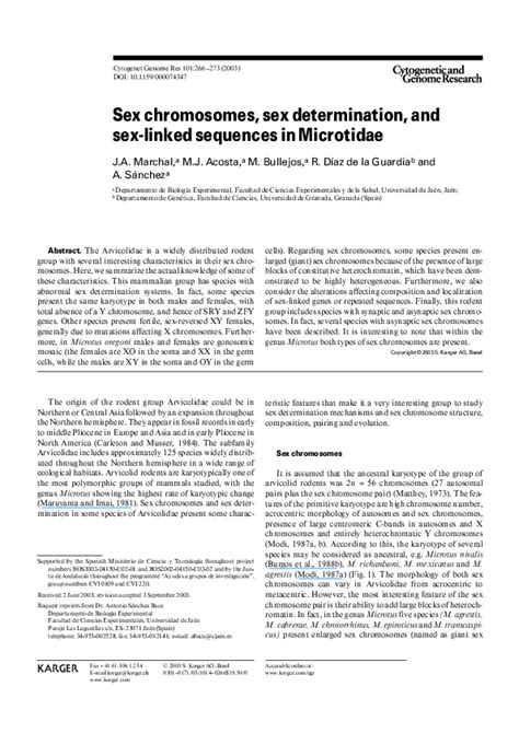Pdf Sex Chromosomes Sex Determination And Sex Linked Sequences In Microtidae Monica