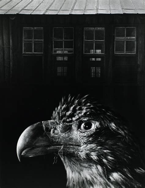 Bless Our Home And Eagle Jerry N Uelsmann Mia
