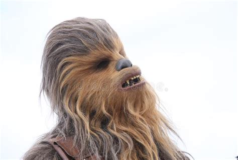 Chewbacca Attends The Photocall Editorial Photography Image Of Talent