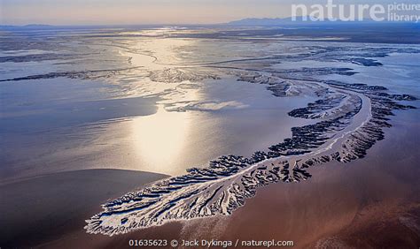 Nature Picture Library Patterns In The Tidal Flats Of The