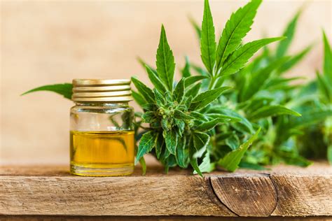What Is Cbd Live Science