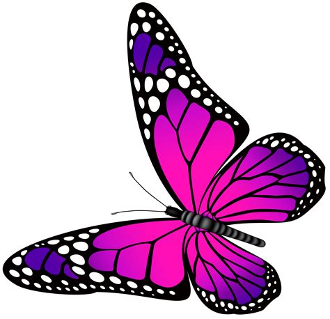 Butterfly Pink And Purple Transparent Png Clip Art Image Borboleta Em