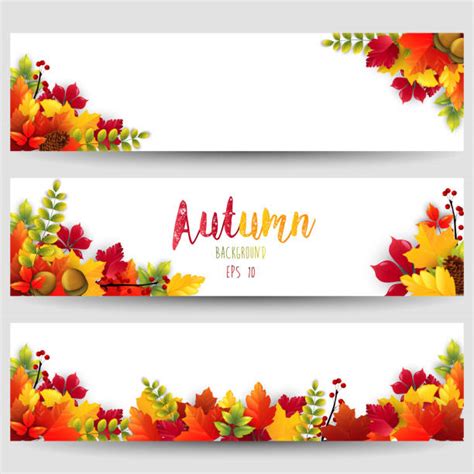 Royalty Free Set Of Colorful Autumn Leaves Banner Or Web Header Clip