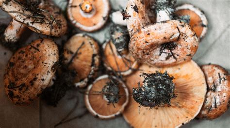 Can You Freeze Mushrooms Detailed Guide Beezzly