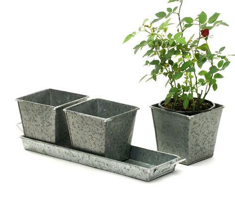 Galvanized Herb Pots And Tray 3 Pots Tray Herb Pots Growing