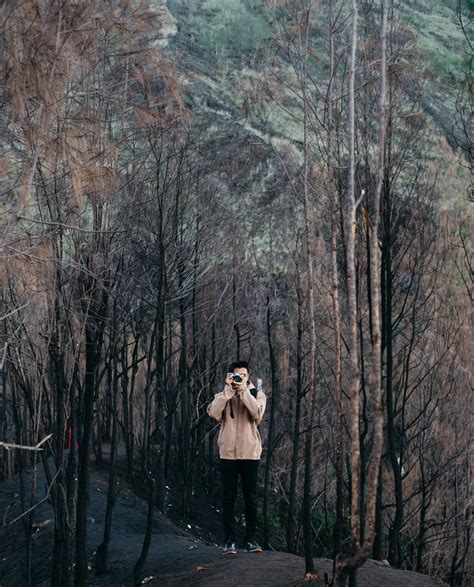 Man Surrounded By Trees · Free Stock Photo