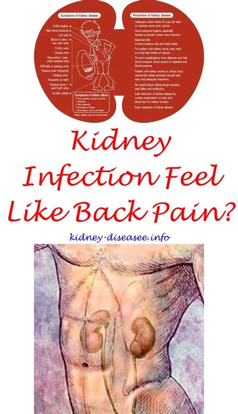 Kidney Stone Pain Area Female Back Kidkads
