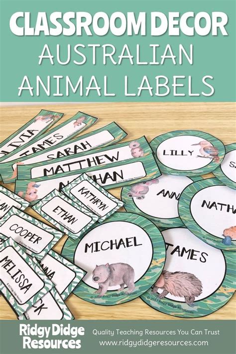 Australian Animal Themed Editable Classroom Labels Ridgy Didge
