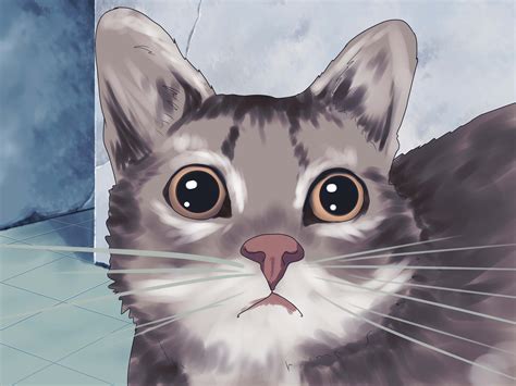 How To Draw A Realistic Cats Face 11 Steps With Pictures