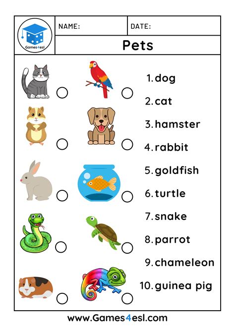 Download These Free Pet Worksheets And Use Them In Class Today On This