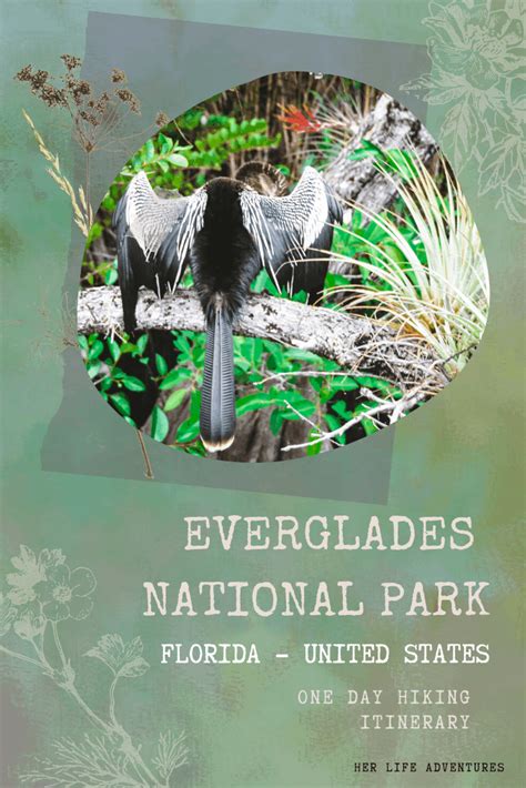 1 Day Guide Everglades National Park Artofit