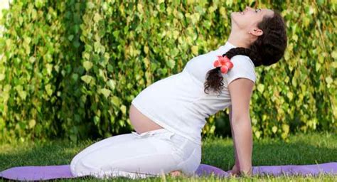 Prenatal Exercises For First Second And Third Trimester