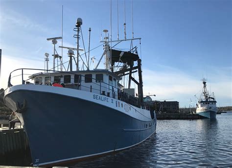 Fishing Fleet Is Back Halifax Shipping Newsca