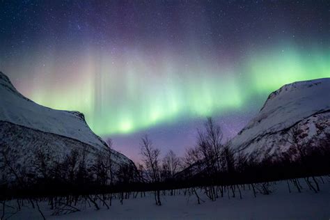 Auroras Boreales En Tromso Guía Básica De Viaje