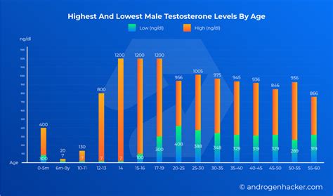 testosterone levels by age chart for men infographics
