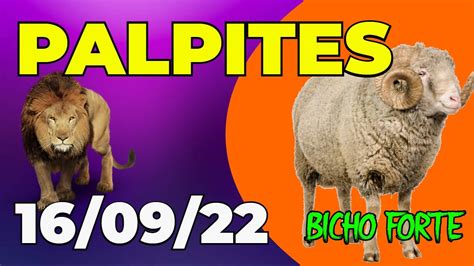 PALPITES DO DIA 16 09 2022 BICHO FORTE YouTube