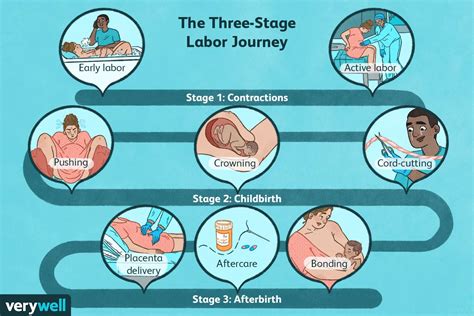 Stages Of Labor First Second And Third 2022