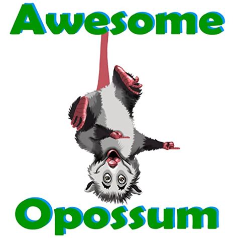 Awesome Opossum Visits The Zoo The Adventures Of Awesome Opossum
