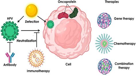 Frontiers Nanotechnology Based Weapons To Combat Human Papillomavirus