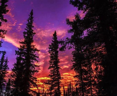 Purple Sky Beautiful Sunset Nature Pictures Nature