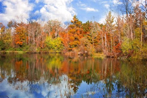 Free Images Landscape Tree Nature Forest Wilderness Meadow Leaf Lake Pond Foliage