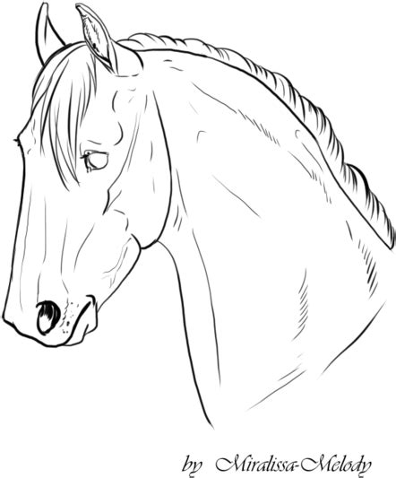 Download Horse Head Line Drawing At Getdrawings Horse Png Image With
