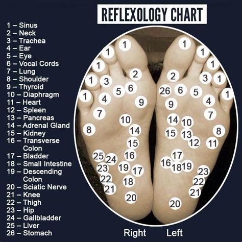 Found This On A Facebook Post Thought It Was Pretty Interesting Reflexology Reflexology