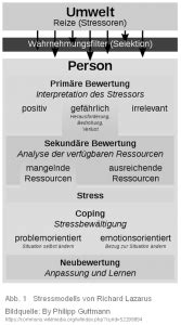 Das transaktionale stressmodell von lazarus ist nach dem psychologen richard lazarus benannt und wurde 1974 veröffentlicht. Stressmodell-Lazarus 888888+ - Rainer Votsmeier