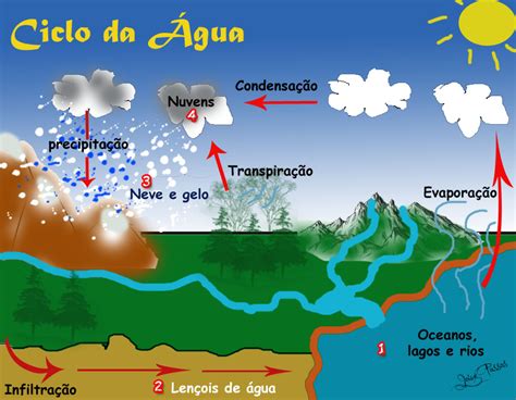 Blog Do Conhecimento O Ciclo Da água