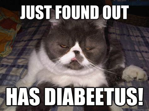 Just Found Out Has Diabeetus Wilfred Brimley Cat Quickmeme