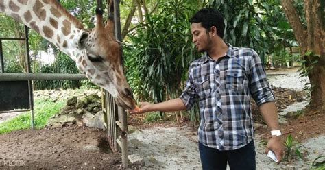 Hours, address, zoo melaka reviews: Melaka Zoo Admission Ticket in Melaka, Malaysia - Klook US