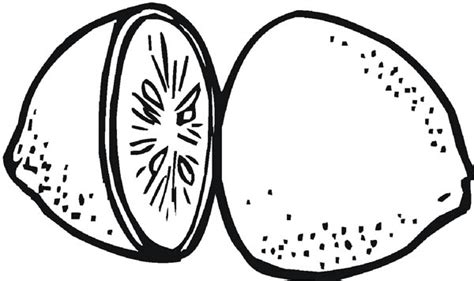 Choose from 630+ lemon slice graphic resources and download in the form of png, eps, ai or psd. Slice A Lemon In Two Pieces Coloring Page : Coloring Sky