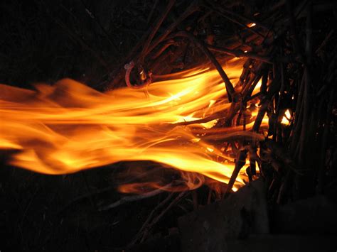 ✓ free for commercial use ✓ high quality images. Free fire Stock Photo - FreeImages.com